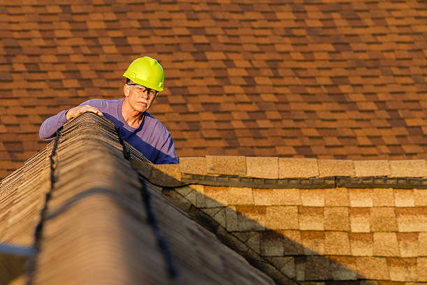 Best Metal Roofing Contractor  in Hinckley, IL