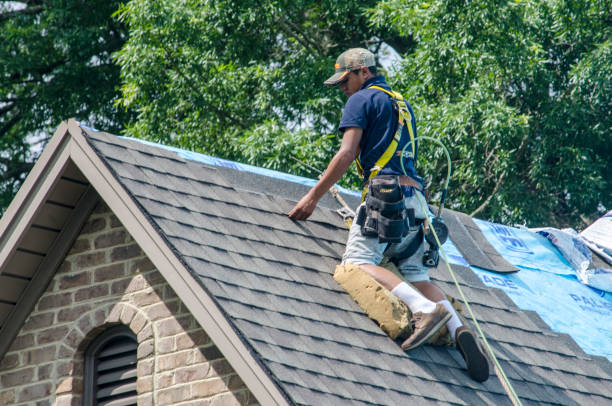 Best Flat Roof Repair Services  in Hinckley, IL
